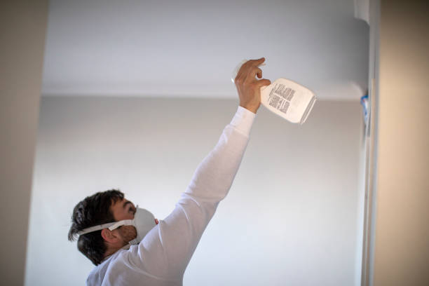 Best Residential Mold Removal  in Tracyton, WA